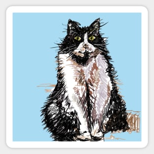 Tuxedo Cat Cute Drawing - on Blue Sticker